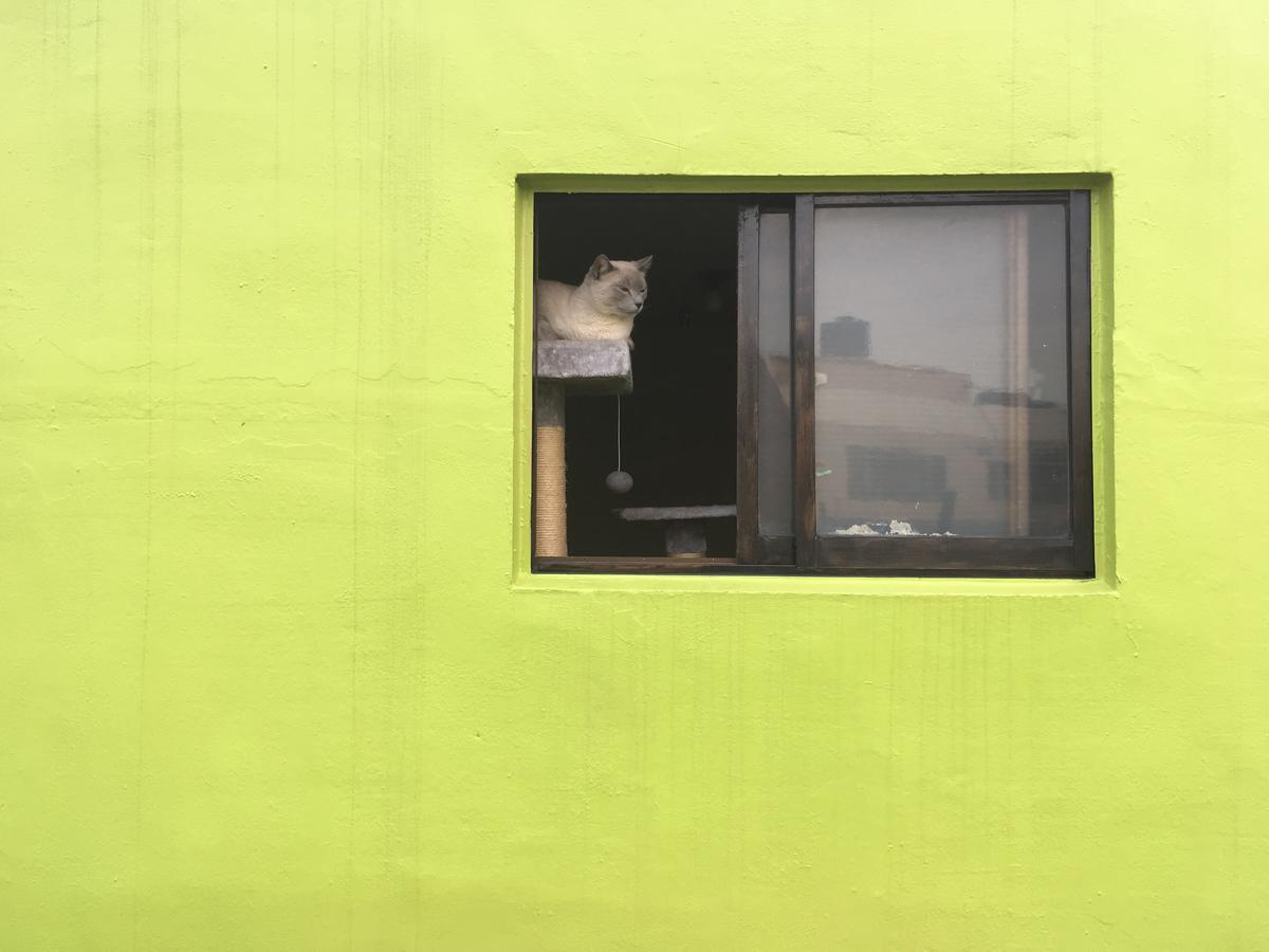 Busan Backpackers Экстерьер фото